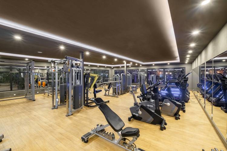 The X Belek