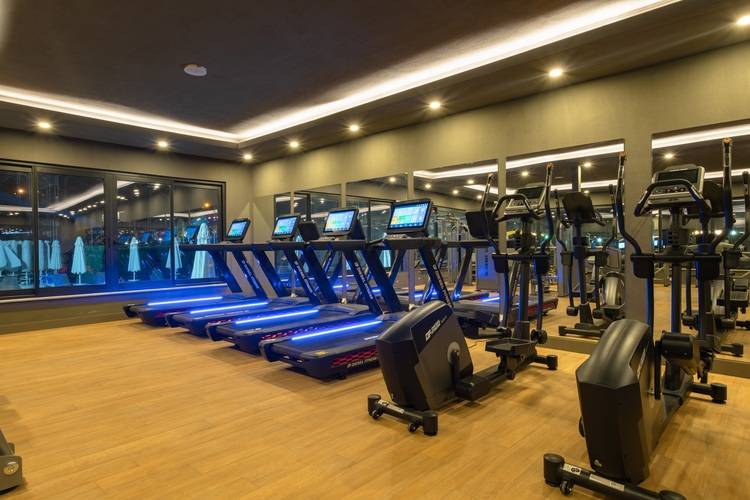 The X Belek