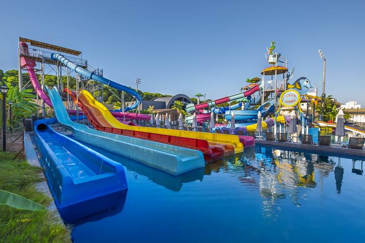 The X Belek