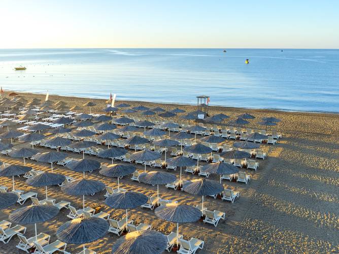The X Belek
