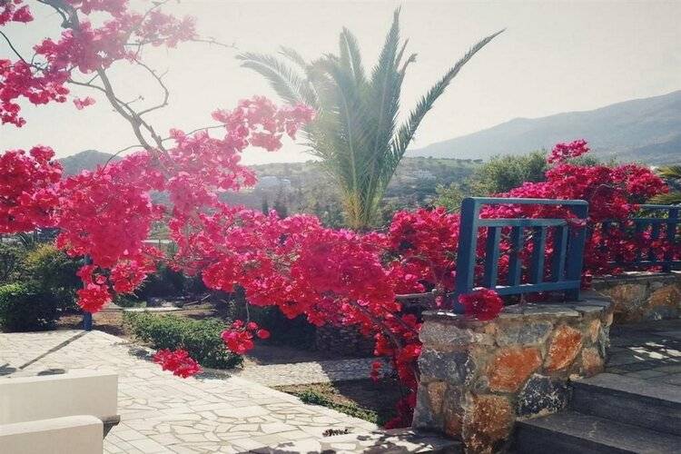 Paralos Irini Mare