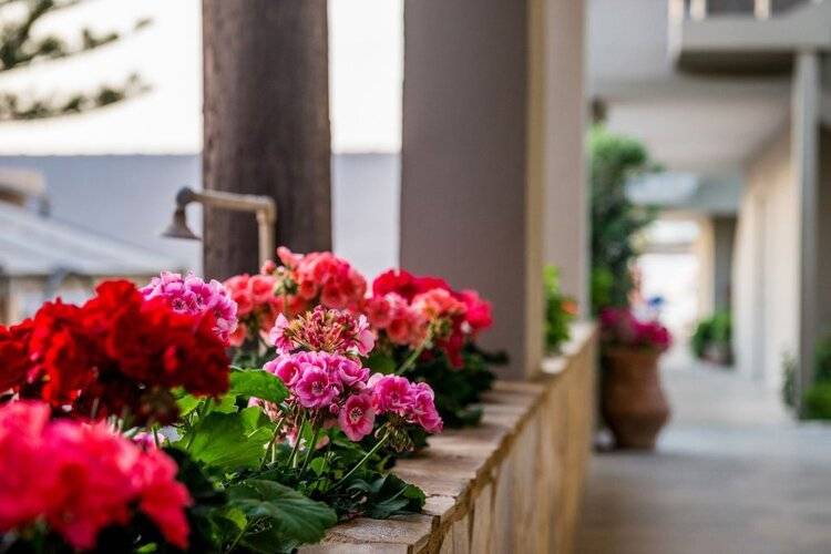 Vergina Beach Hotel