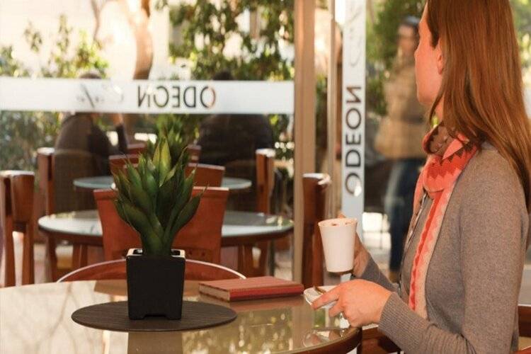 Athens Odeon Hotel
