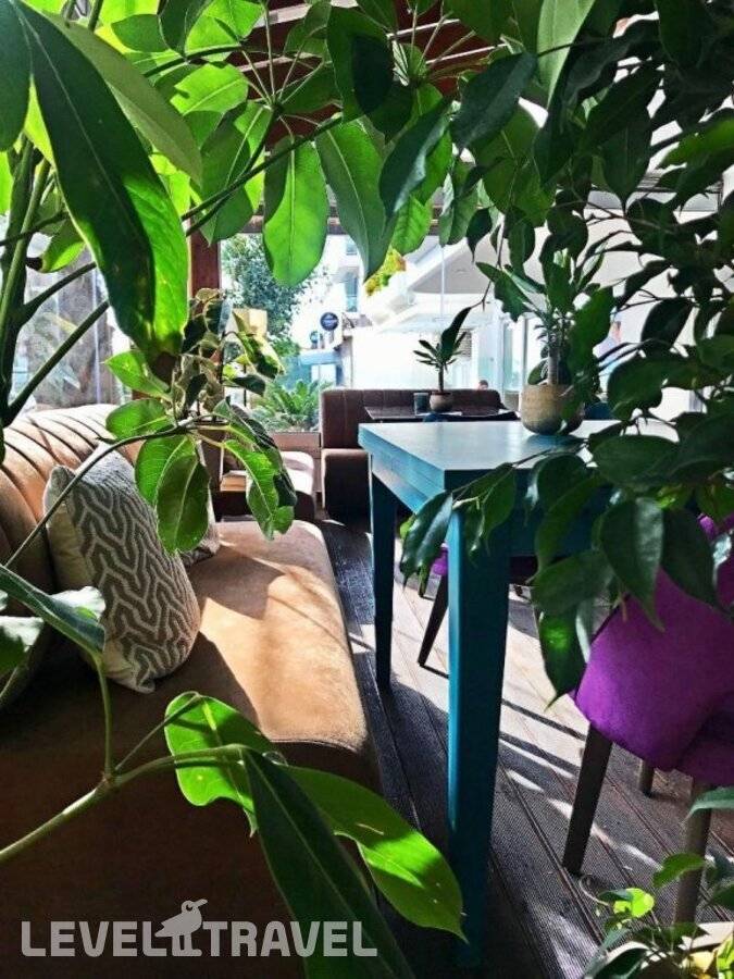 Изображение отеля 6