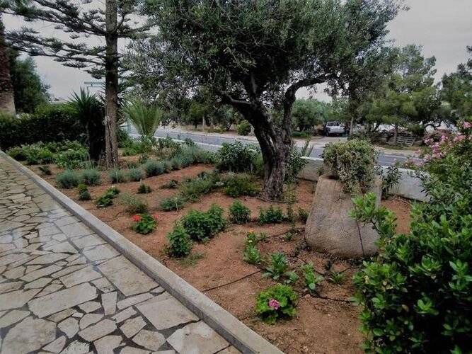 Apartments With Garden View No12