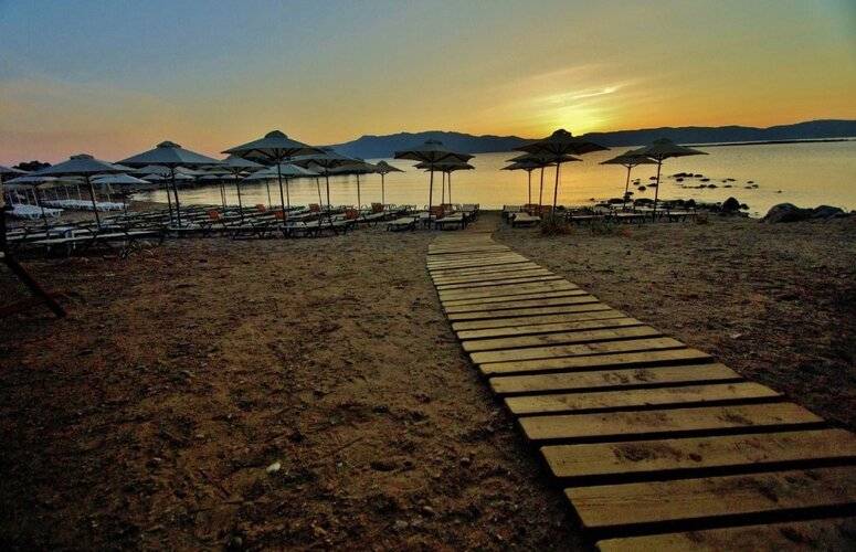 Aphrodite Beach