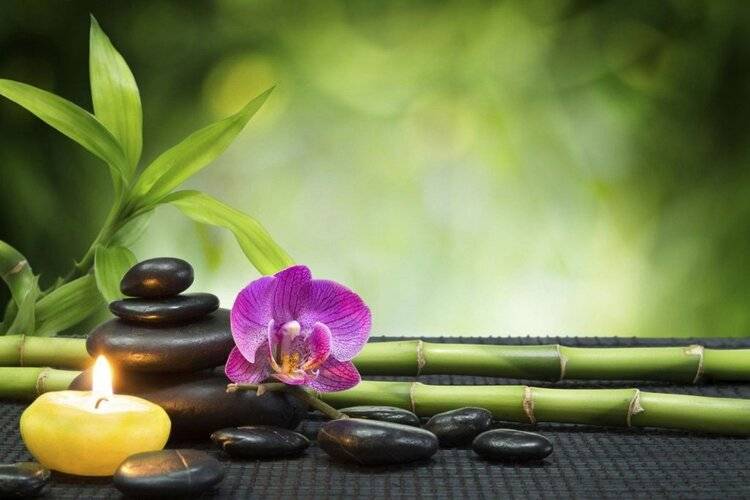 Cascade Holiday Resort