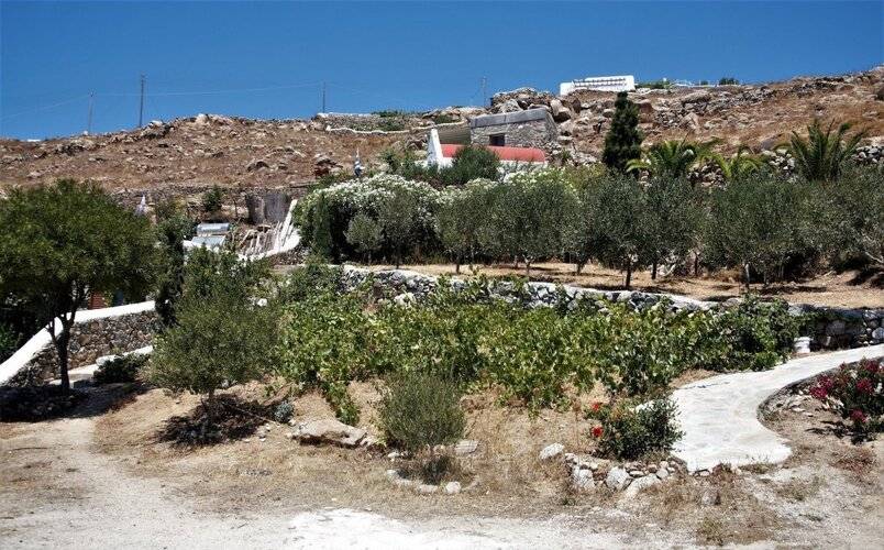 Mykonos Moussa Suites