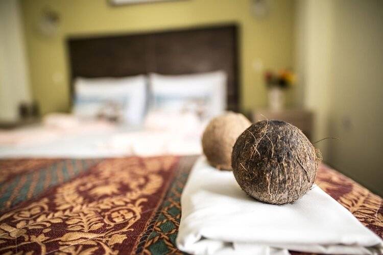 Dionisos Palms