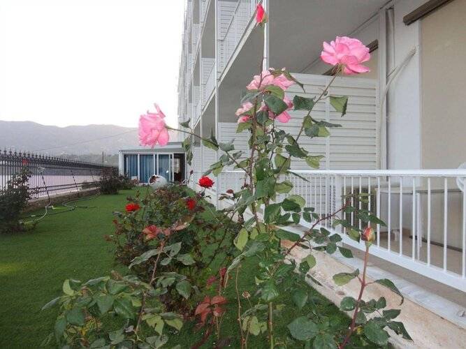 New Aegli Resort Hotel