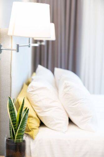 Chroma Fashion Rooms & Apartments
