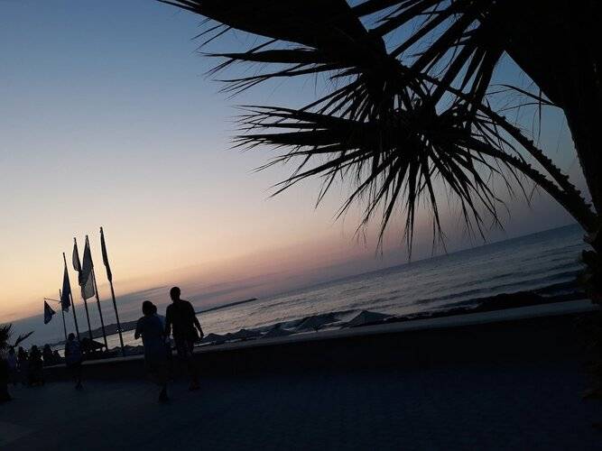 Calmare
