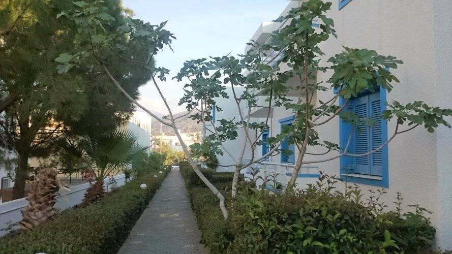 Amazones Villas Sun