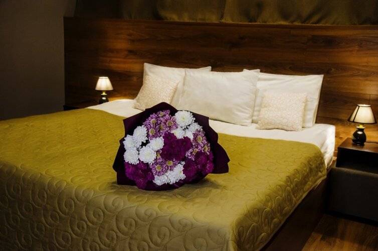 Hotel Loft Ptz
