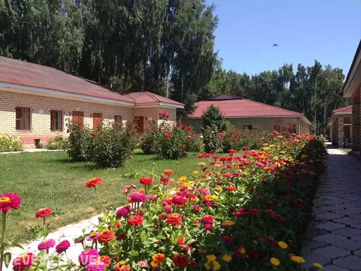 Отель Солемар