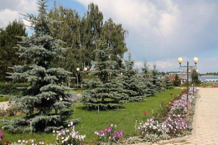 Отель Акун