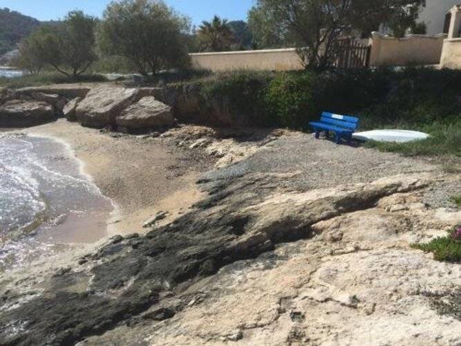 Blue Dolphin Studios & Apartment