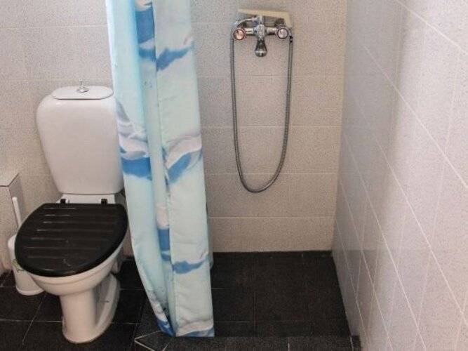 Blue Dolphin Studios & Apartment