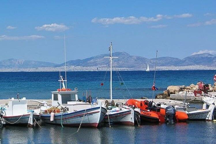 Blue Dolphin Studios & Apartment