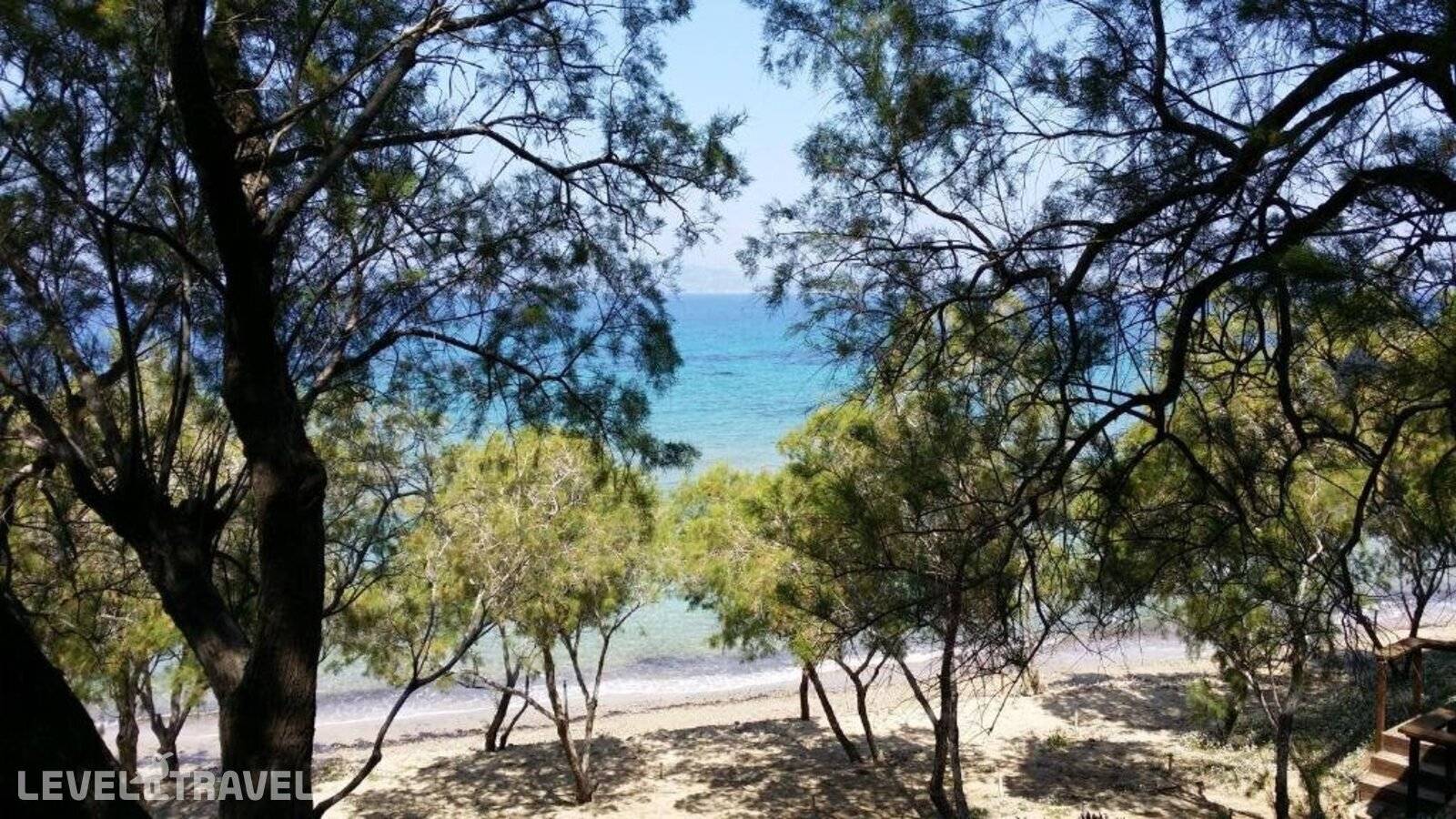 фотографии отеля Hotel Rachel в Греция(Эгина) - фото №48