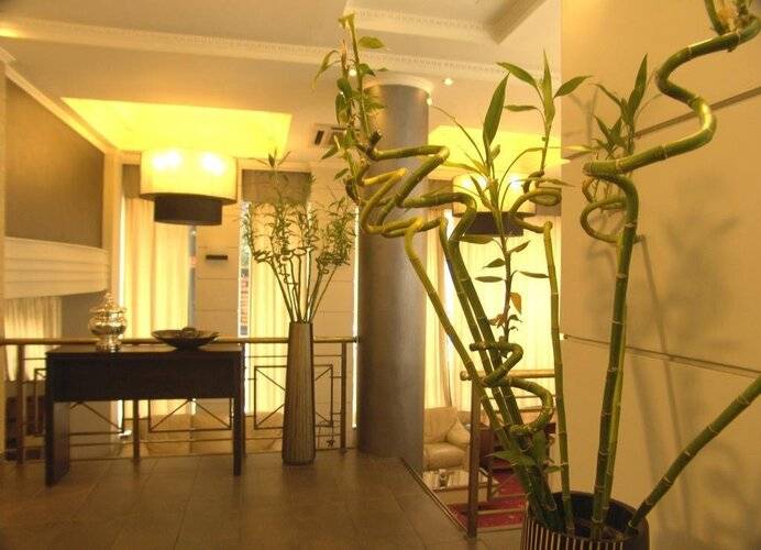 Minoa Hotel