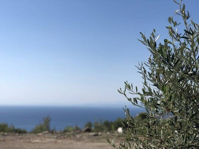 Alikon Residences Halkidiki