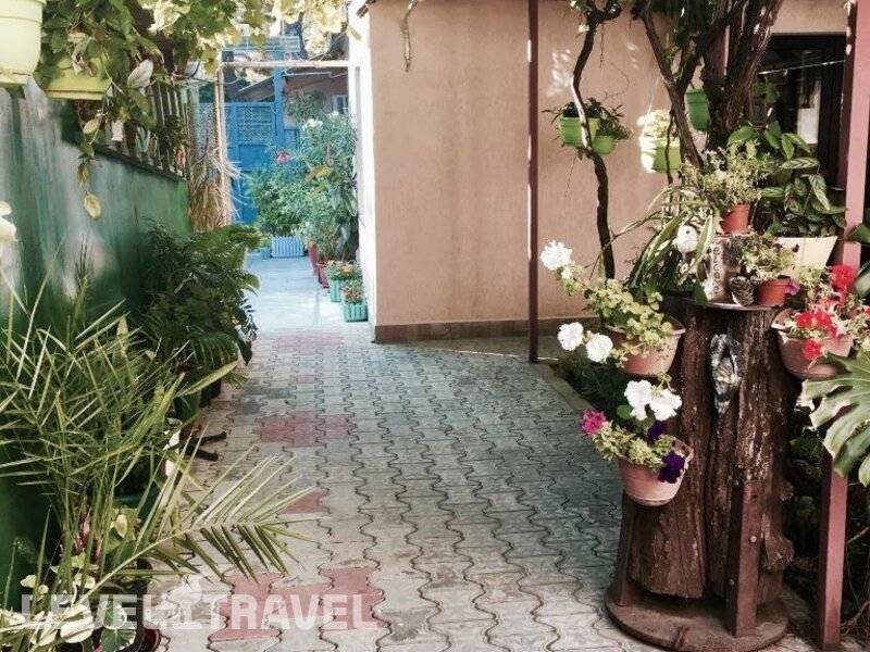 Фотография Гостевой Дом Тенистый Дворик