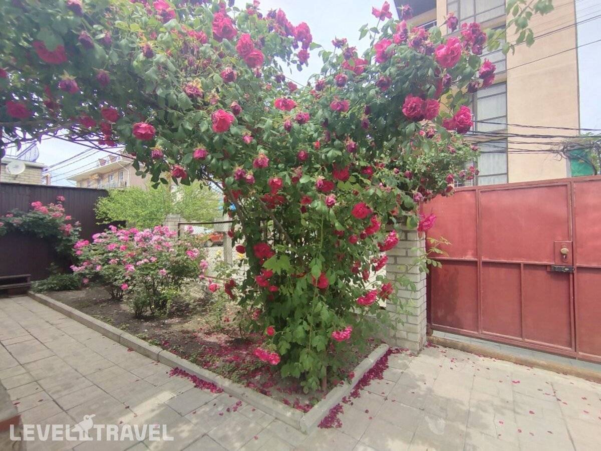 Изображение отеля 14