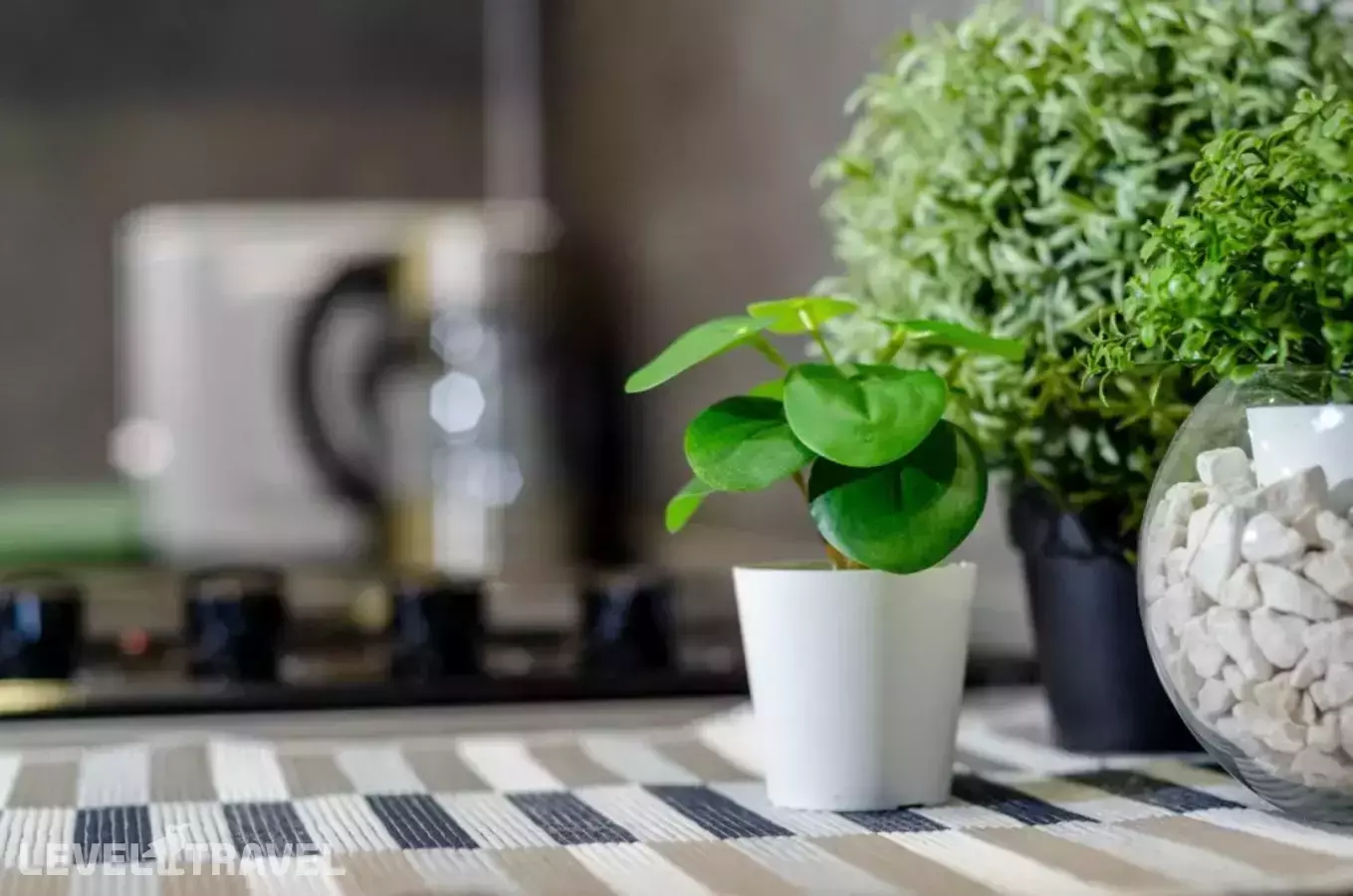 Апартаменты Студии На Туристической