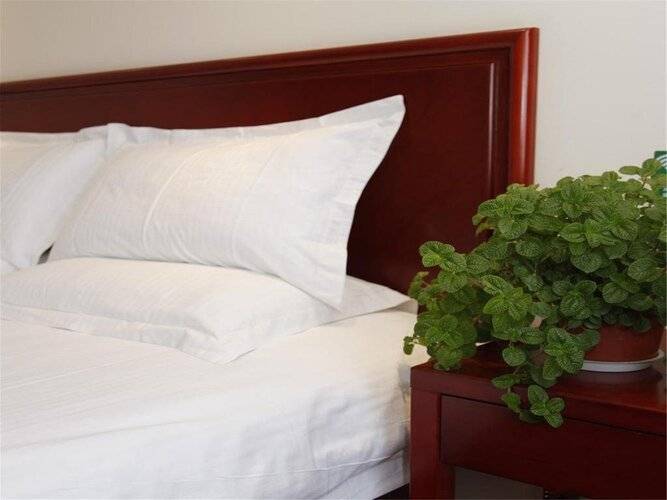 Greentree Inn Beijing Shunyi District South Shiyuan Street Express Hotel