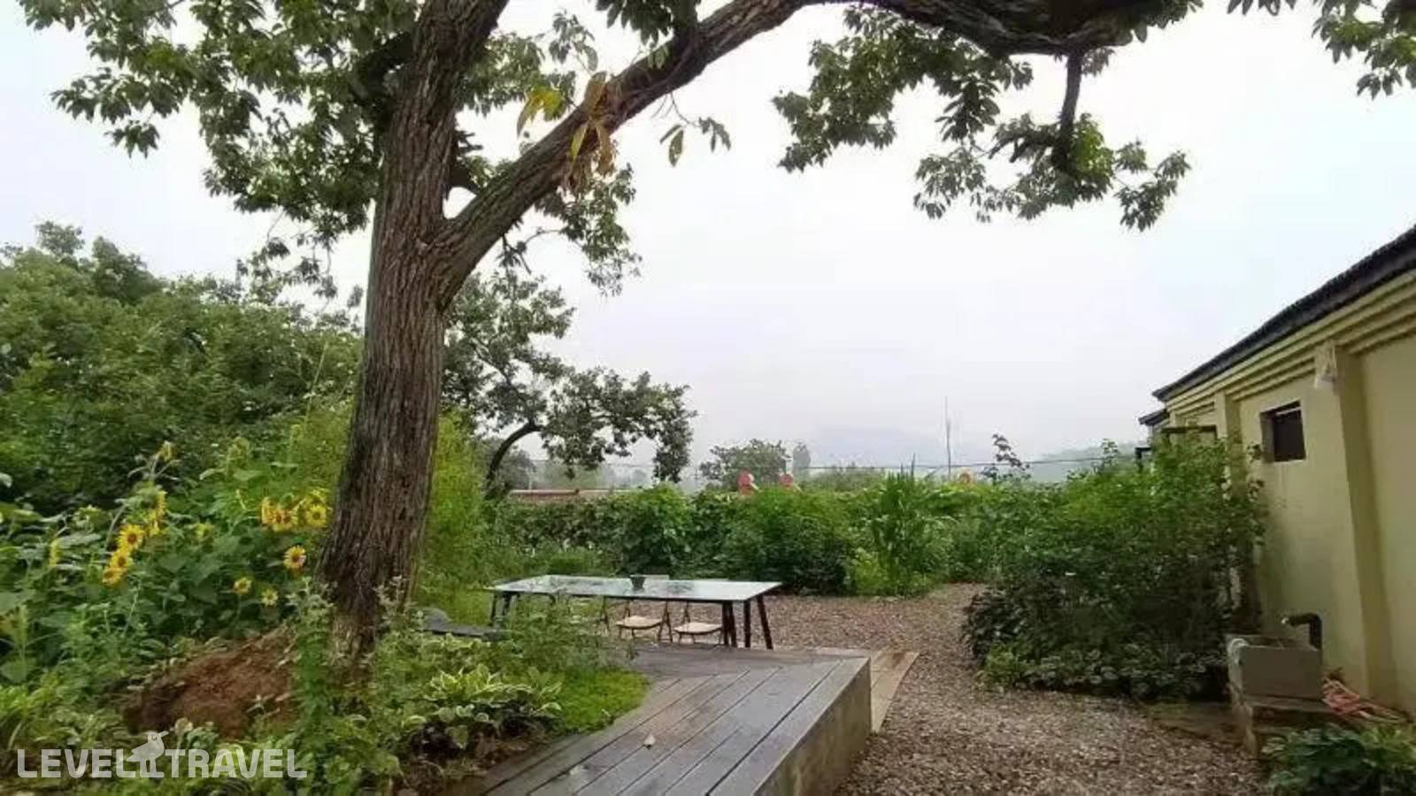 фотографии отеля Flower Yard в Китай(Пекин) - фото №14