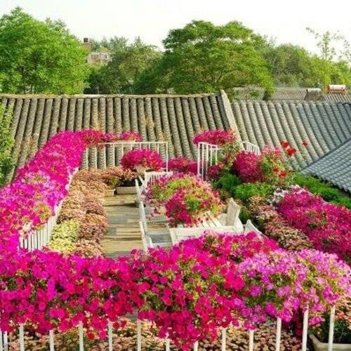 Peking Yard Boutique Hotel