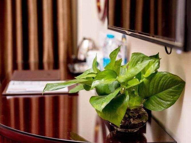 Greentree Inn Guangdong Airport Huaxi Road Express Hotel