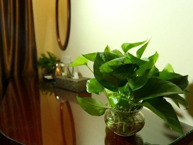 Greentree Inn Guangdong Airport Huaxi Road Express Hotel