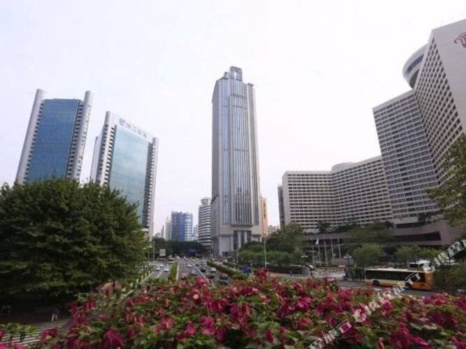 Yoyo International Apartment