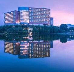 $item['hotel']['name']
