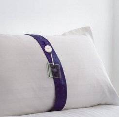 $item['hotel']['name']