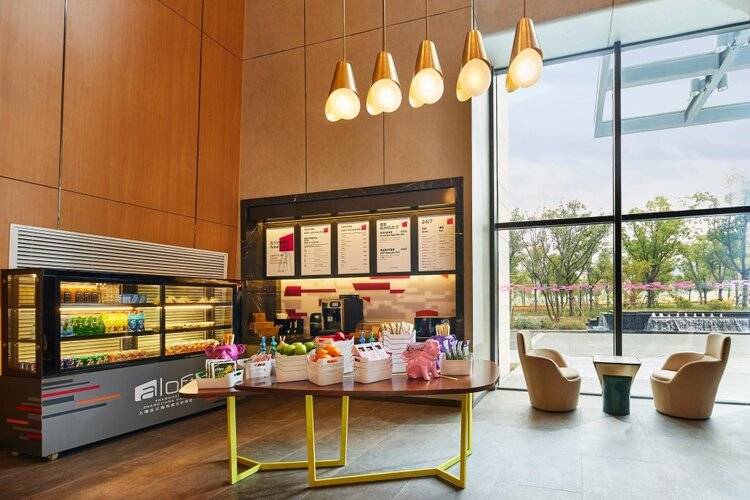 Aloft Shanghai Zhangjiang Haike