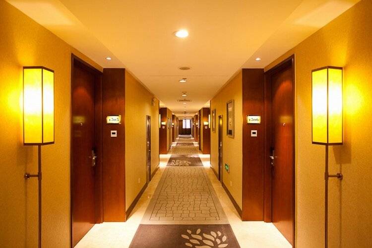 Zte Hotel