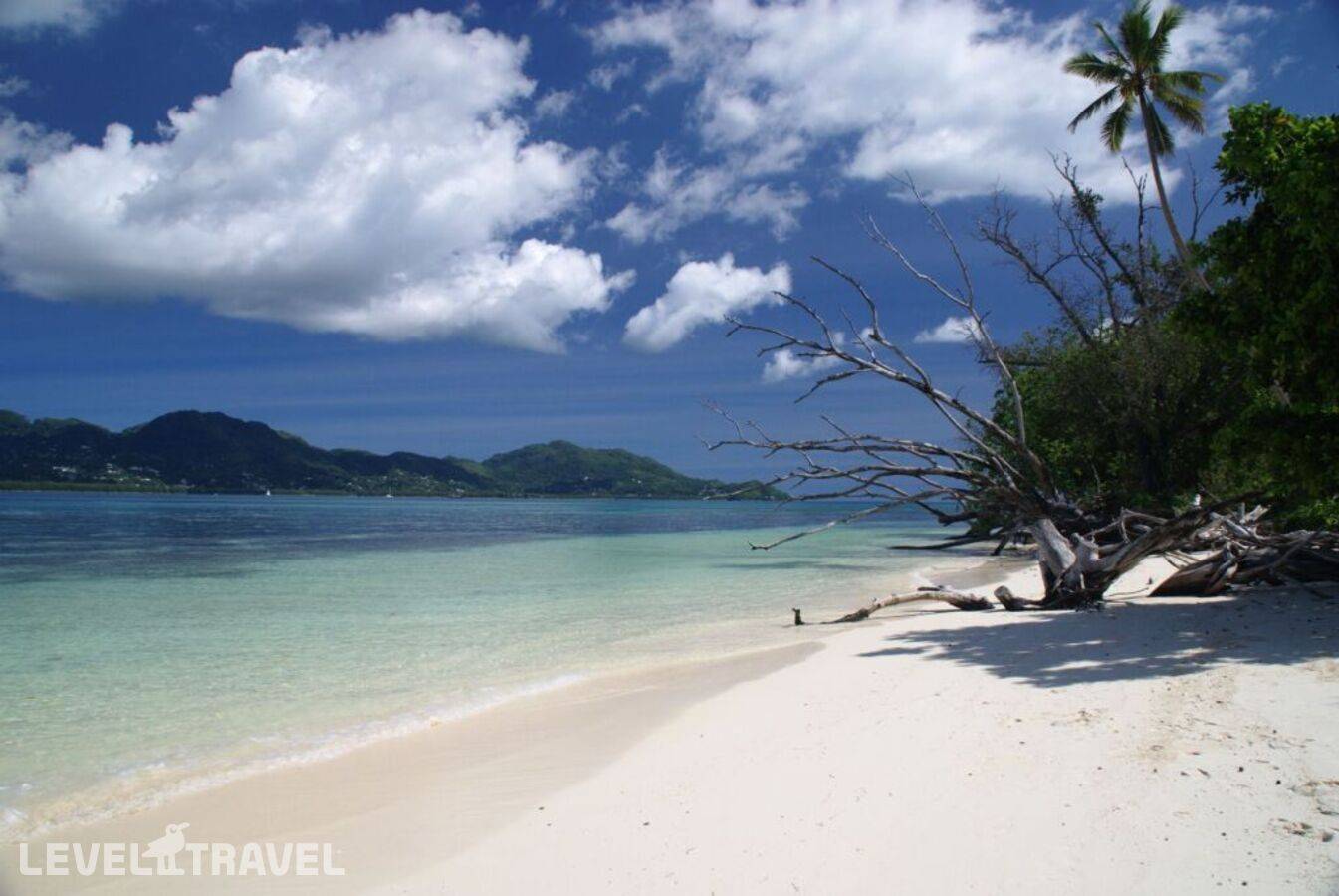 фотографии отеля Fairytern Chalets в Сейшелы(о. Серф) - фото №1