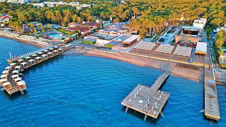 Т щимен жыныстық қатынасты қараңыз