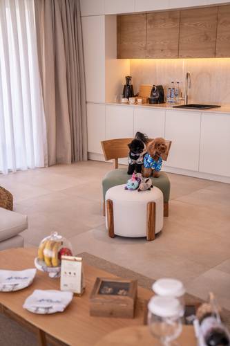 Club Arona By Laren Hotels