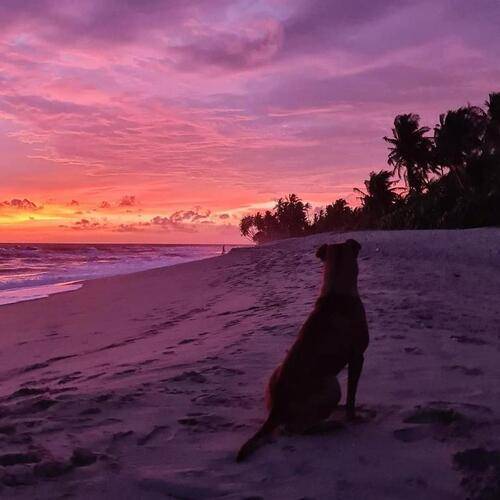 Villa Bounty Akuralla Beach