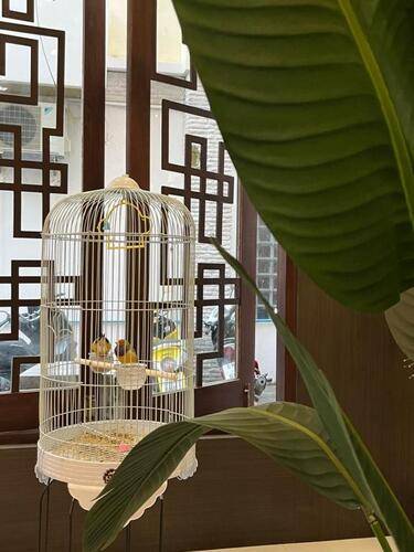 Grand Orlov Apart Hotel