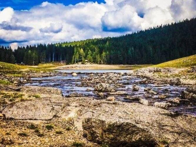 Chalet Hill Zabljak