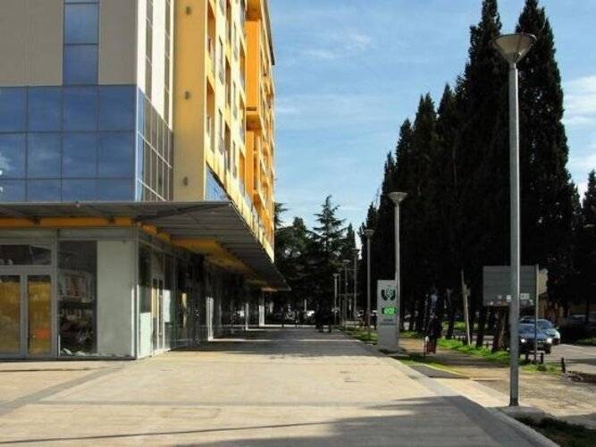 Apartments Athos