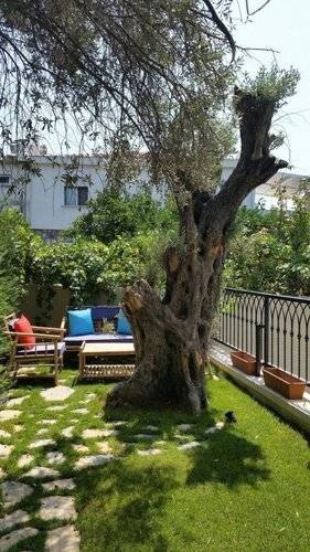 Cassiopeia Hotel Alacati