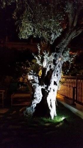 Cassiopeia Hotel Alacati