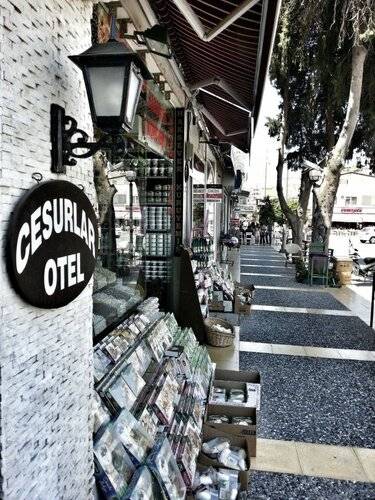 Cesurlar Hotel