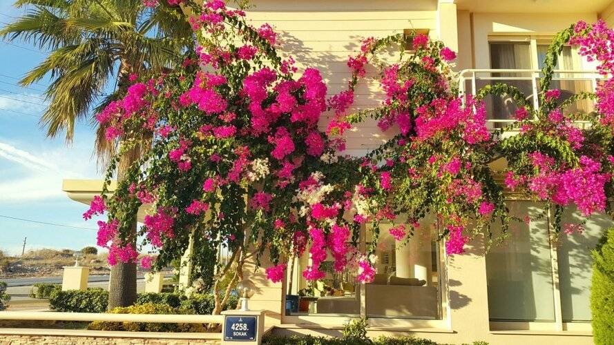 Kamer Suites & Hotel